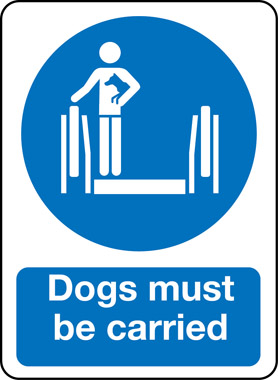 carry your dog on your back