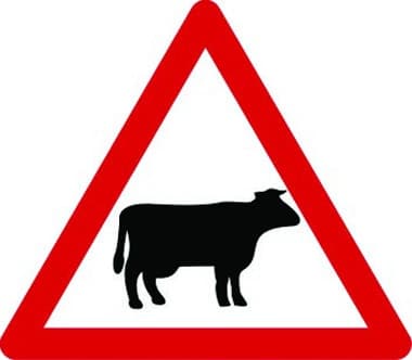 Cattle likely ahead traffic sign