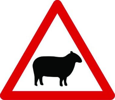 Sheep likely ahead traffic sign