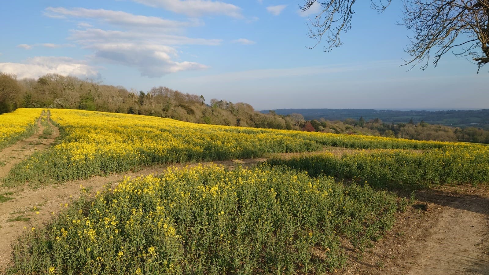 Stocksigns and Messagemaker Displays charity walk