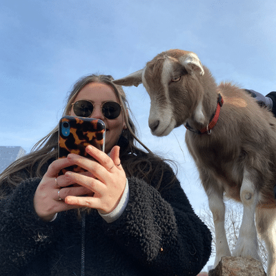 Surrey Docks Farm 2023 Curious Goat