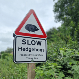 SLOW - Hedgehogs Sign