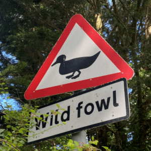 Wild Fowl Sign