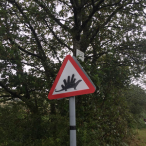 Totally not a stegosaurus sign