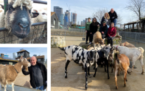 The team posing with various farm animals, including goats and sheep