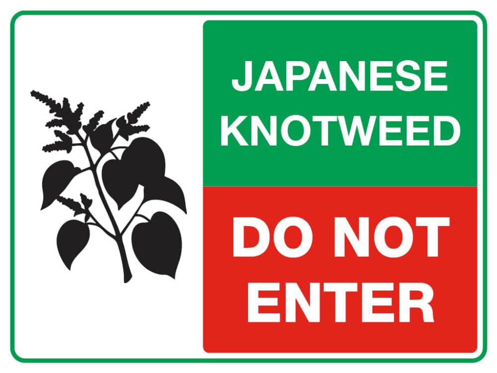 Stocksigns Japanese Knotweed- Do Not Enter Construction sign