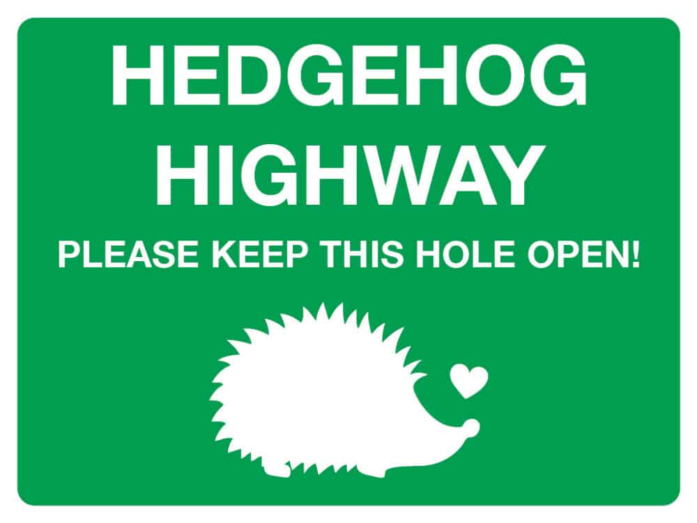 Hedgehog Highway- Please keep this hole open!